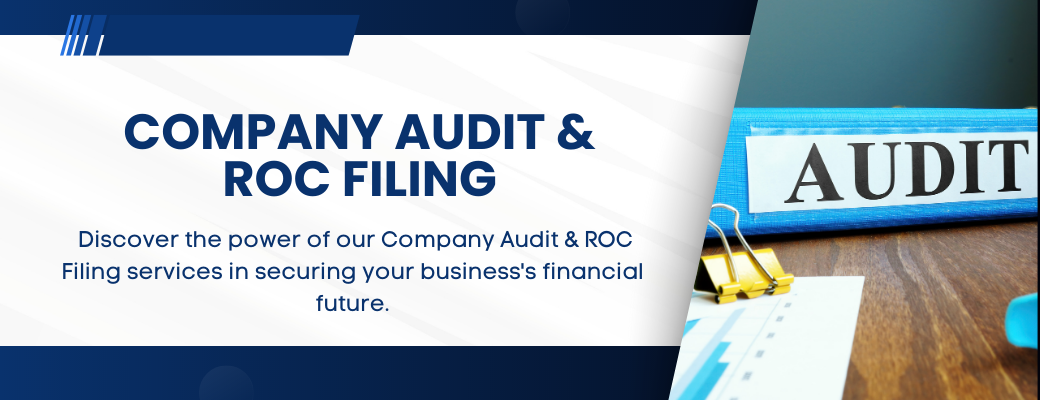 Company Audit & ROC Filing